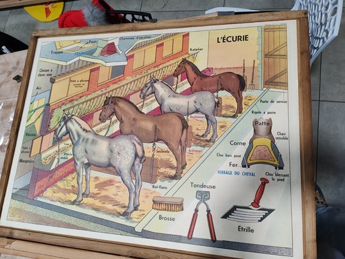 Ancienne affiche scolaire