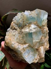 Stunning Blue fluorite Le Burc, Puy-de-Dôme 63, France
