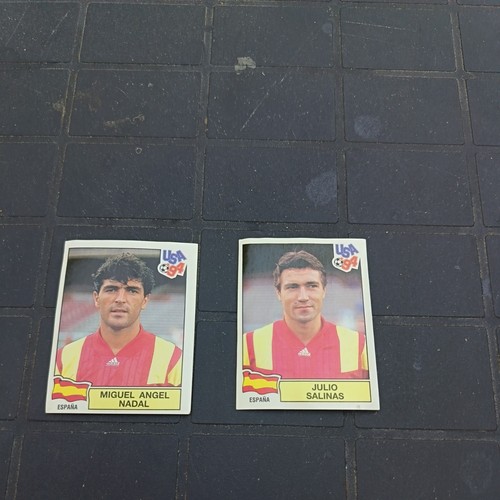 Stickers vignette panini foot - vignette,