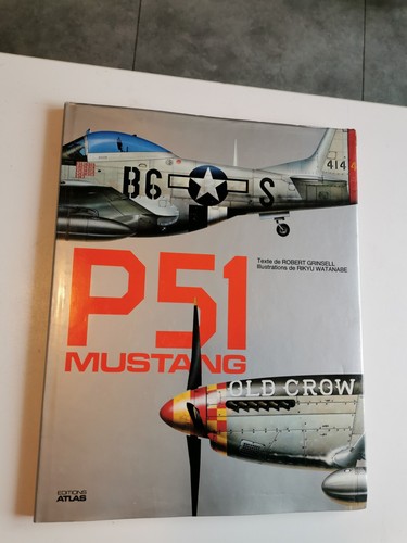 P51 mustang aviationus - , air
