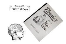 Phrenology How to Read The