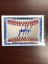 Yordan Alvarez Cut Signatures Prospect Auto Rc Hot