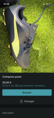 Puma rapido fastest - 3, mg
