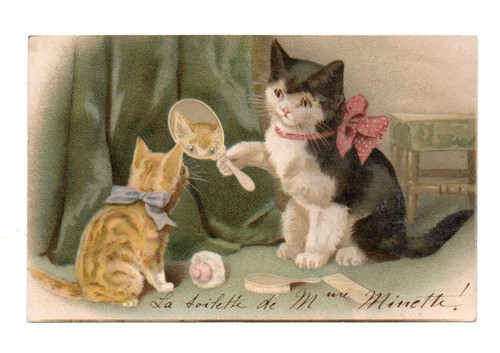 Chats chaton humanisés cpa - chats,,