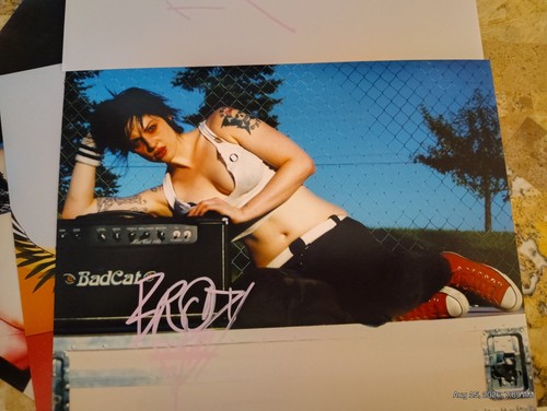 Brody dalle the distillers - the,
