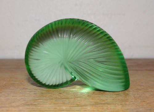Beau presse papier nautile - beau,