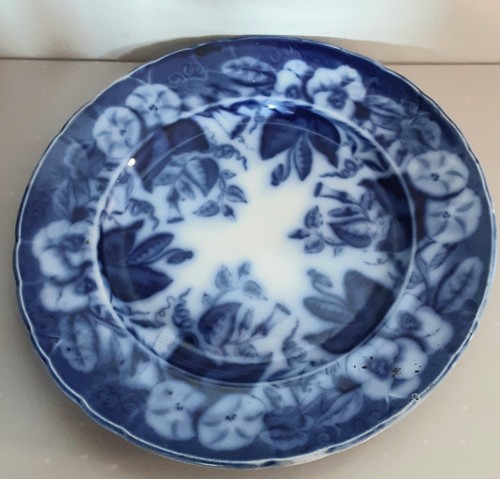 Assiettes faïence fine - 3,