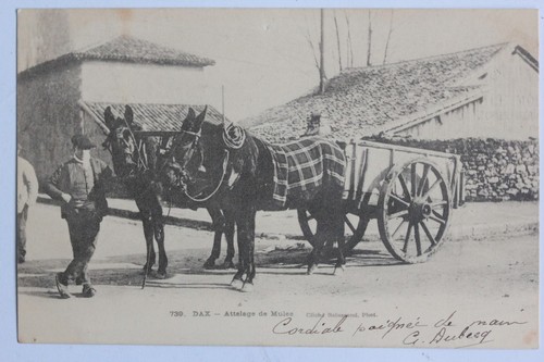 Cpa landes dax attelage - cpa,