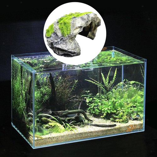 Reptile hide grotte habitat - hide,