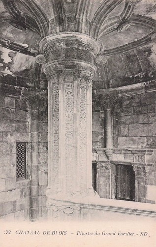 Blois chateau - 41,