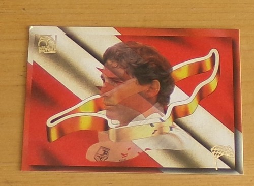 1995 ayrton senna - 1995,