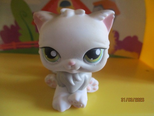 Petshop chat persan 328 - persan, #328