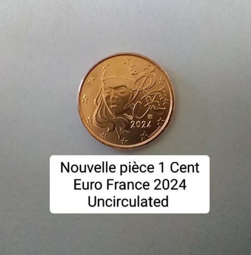 Pièce cent euros france - pièce,