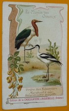 CHROMO 1910-1930 CHOCOLAT