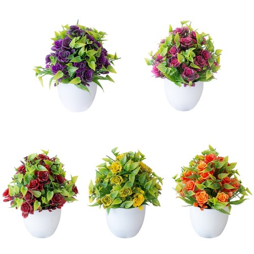 Plante pot rose - pot,
