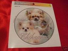 1 autocollant - motif chien  CHIHUAHUA poil long