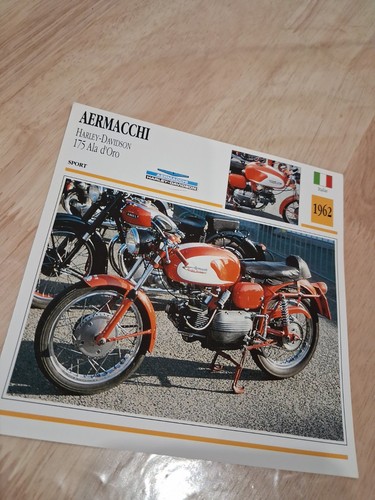 Aermacchi 175 ala oro 1962 - 175,