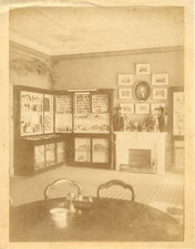Salon d'un collectionneur