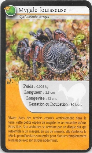 Carte bioviva mygale - carte,