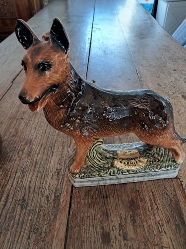Petit chien bouteille - un,