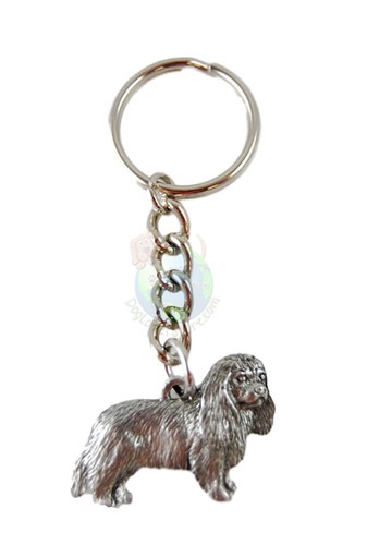 Cavalier king charles - king,