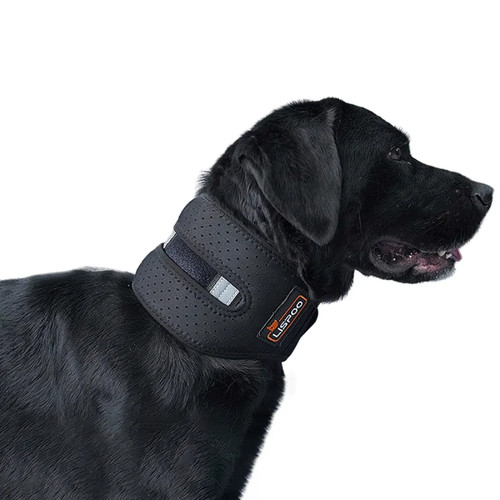Lispoo dog cervical collar - dog,