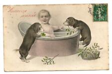 Heureuse Année.2 Teckels et 1