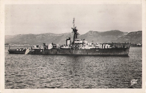 Tonkinois fregate - tonkinois,