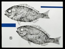 Empreinte de poissons et