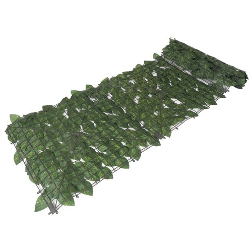 5x3 mètres mur plante - mur,