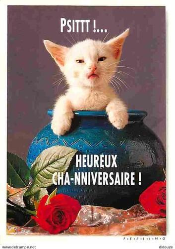 Carte postale animaux - carte,
