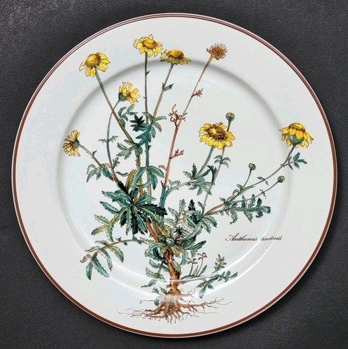 Sublime assiette plate signée - sublime,