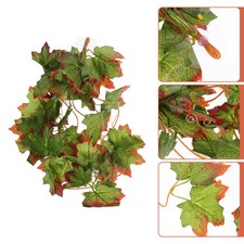  Décoration De Terrarium