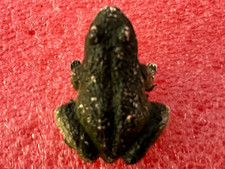 1971 PRIOR The Frog FISH AQUARIUM Series Plastic Figure Cookie