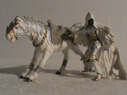 Grande chevalier - grande,