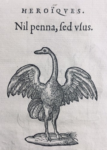Rare gravure autruche 1557 - gravure, d’autruche