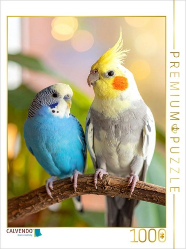 Puzzle calvendo des - puzzle, amis