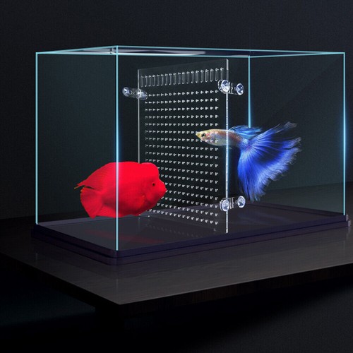 Gallon aquarium fish - 10,