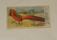 Image CHROMO RI-RI DEMARET 