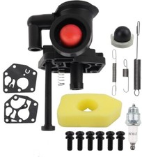 Carburateur pour Briggs &