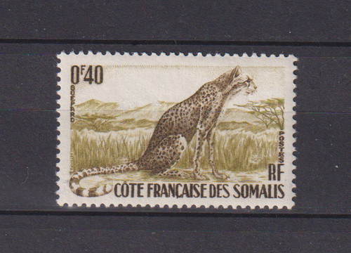 Cote des somalis 288 - cote,