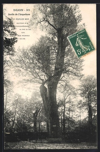 Cpa dijon jardin - dijon,, de