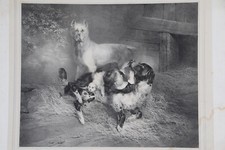 Joseph Simon Volmar (1796-1865) - Un enfant jouant avec des chiens - Engelmann