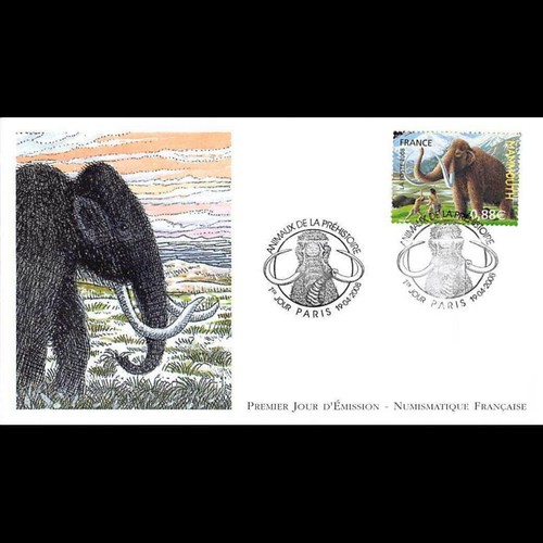 Fdc lnf animaux de - animaux, la