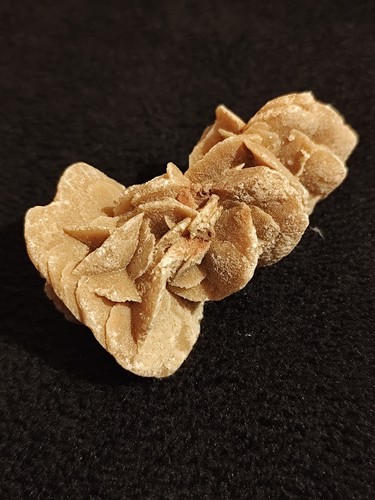 Lot roses des sables - des,