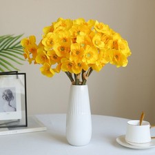 Bouquet de fleurs de narcisse