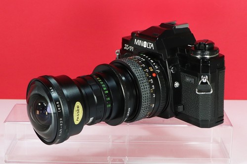 Fish eye panagor - fish-eye,