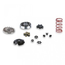 Variateur Malossi pour Moto