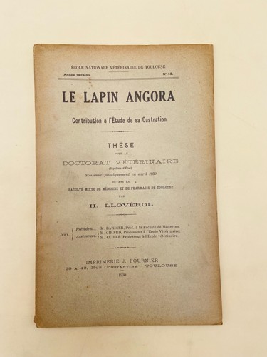 Llovérol le lapin angora - llovÉrol,