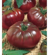 25 graines de tomate noire de